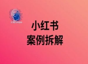 小红书案例拆解，深度解读小红书40万粉| 鹿鸣网创
