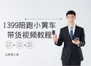 1399陪跑tiktok小黄车带货视频教程,tiktok跨境电商教程| 鹿鸣网创
