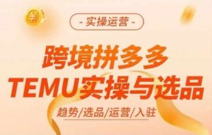 跨境拼多多TEMU实操与选品，多多temu跨境选品运营实操| 鹿鸣网创