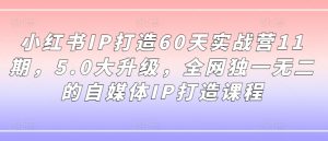 小红书IP打造60天实战营11期,5.0大升级,全网独一无二的自媒体IP打造课程| 鹿鸣网创