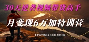 30天逆袭视频带货高手,单月变现6万加特训营-麦子甜| 鹿鸣网创