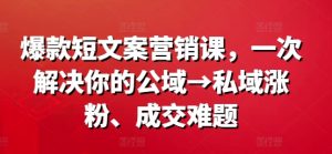 爆款短文案营销课，一次解决你的公域→私域涨粉、成交难题| 鹿鸣网创