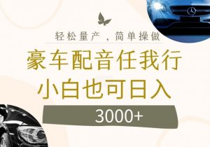 不为人知的暴力小项目,豪车配音,日入几张【揭秘】| 鹿鸣网创
