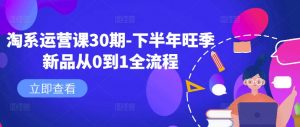 淘系运营课30期-下半年旺季新品从0到1全流程| 鹿鸣网创