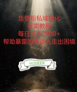 负债粉掘金计划,帮助负债者解决问题,债务规划,债务重组,最好的变现方式【揭秘】| 鹿鸣网创