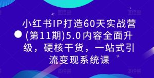 小红书IP打造60天实战营(第11期)5.0内容全面升级,硬核干货,一站式引流变现系统课| 鹿鸣网创