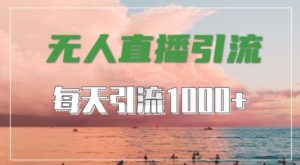 抖音快手视频号全平台通用，无人直播引流法，超暴力引流1000+高质量精准创业粉【揭秘】| 鹿鸣网创