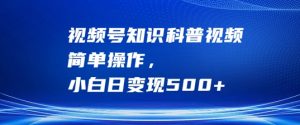 视频号知识科普视频,简单操作,小白日变现500+【揭秘】| 鹿鸣网创