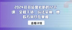 2024多多运营必听的12节课，全程干货，玩法实操，爆款方案尽在掌握| 鹿鸣网创