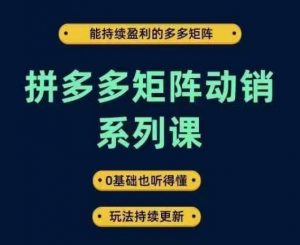 拼多多矩阵动销系列课，能持续盈利的多多矩阵，0基础也听得懂，玩法持续更新| 鹿鸣网创