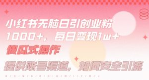 小红书无脑每日引流创业粉500+，小白每天只花半小时，躺赚长尾收益【揭秘】| 鹿鸣网创