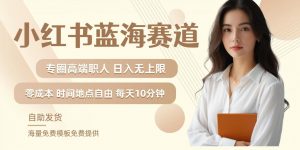 小红书蓝海赛道,圈中高端职场人,月入无上限,可矩阵,内含私域实操教程!| 鹿鸣网创