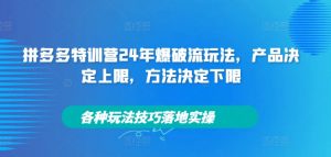 拼多多特训营24年爆破流玩法,产品决定上限,方法决定下限,各种玩法技巧落地实操| 鹿鸣网创