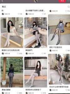 AI打造网红账号,一周收入超5位数,还能矩阵操做| 鹿鸣网创