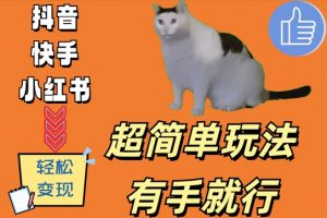 超简单玩法，有手就行，靠猫咪视频日入500+【揭秘】| 鹿鸣网创