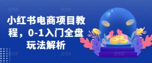 小红书电商项目教程，0-1入门全盘玩法解析| 鹿鸣网创
