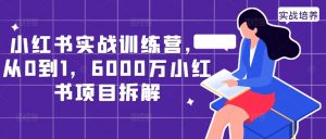 小红书实战训练营,从0到1,6000万小红书项目拆解| 鹿鸣网创