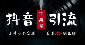2024最新抖音工具号引流玩法,高效日引300+创业粉,当天变现5k,小白也可成为实战高手| 鹿鸣网创