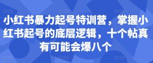 小红书暴力起号特训营,掌握小红书起号的底层逻辑,十个帖真有可能会爆八个| 鹿鸣网创