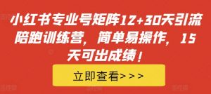 小红书专业号矩阵12+30天引流陪跑训练营,简单易操作,15天可出成绩!| 鹿鸣网创
