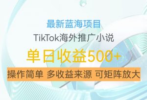 最新蓝海项目，利用tiktok海外推广小说赚钱佣金，简单易学，日入500+，可矩阵放大【揭秘】| 鹿鸣网创