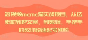 短视频meme猫实战项目，从选素材到把文案，到剪辑，手把手的教你快速起号涨粉| 鹿鸣网创