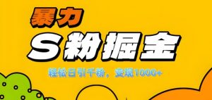 单人单机日引千粉，变现1k+，S粉流量掘金计划攻略【揭秘】| 鹿鸣网创