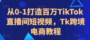从0-1打造百万TikTok直播间短视频，Tk跨境电商教程| 鹿鸣网创
