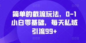 简单的截流玩法,0-1小白零基础,每天私域引流99+【揭秘】| 鹿鸣网创