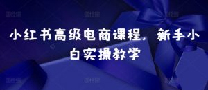 小红书高级电商课程，新手小白实操教学| 鹿鸣网创