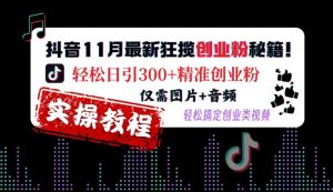 抖音11月最新狂揽创业粉秘籍,轻松日引300+精准创业粉,仅需图片+音频,轻松搞定创业类视频| 鹿鸣网创
