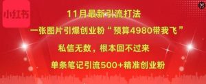 小红书11月最新图片打粉,一张图片引爆创业粉,“预算4980带我飞”,单条引流500+精准创业粉| 鹿鸣网创