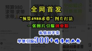 小红书“预算4980带我飞”图片打法，一张图片引爆创业粉，私信回不完，单条引流300+精准创业粉| 鹿鸣网创