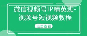 微信视频号IP精英班-视频号短视频教程| 鹿鸣网创