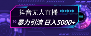 抖音快手视频号全平台通用无人直播引流法，利用图片模板和语音话术，暴力日引流100+创业粉【揭秘】| 鹿鸣网创