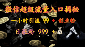 微信超级流量入口揭秘：一小时引流 99 + 创业粉，日涨粉 999 +| 鹿鸣网创