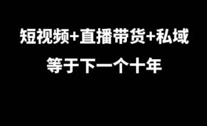 短视频+直播带货+私域等于下一个十年,大佬7年实战经验总结| 鹿鸣网创