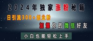 2024年独家涨粉秘籍,日引流300+创业粉,加爆你的微信好友,小白也能轻松上手| 鹿鸣网创