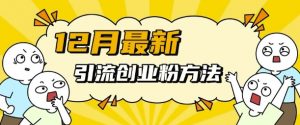 12月最新引流创业粉方法，方法非常简单，适用于多平台| 鹿鸣网创
