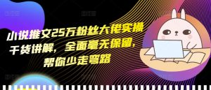 小说推文25万粉丝大佬实操干货讲解，全面毫无保留，帮你少走弯路| 鹿鸣网创