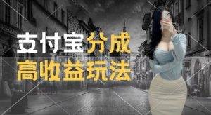 支付宝分成计划新玩法,利用交通事故视频,赚收益,轻松月入过W,操作简单【揭秘】| 鹿鸣网创