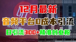 12月最新：音频平台0成本引流，日引流300+精准创业粉| 鹿鸣网创
