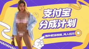 利用海外靶场射击视频,挣支付宝分成收益,轻松月入过W【揭秘】| 鹿鸣网创