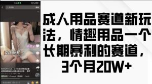 成人用品赛道新玩法,情趣用品一个长期暴利的赛道,3个月收益20个【揭秘】| 鹿鸣网创