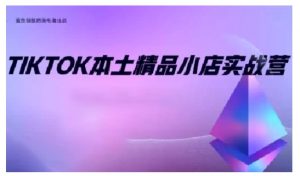 TikTok本土精品小店出海实战营,从入门到高阶,不止0-1!| 鹿鸣网创