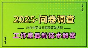 2025问卷调查最新工作室技术解密:一个人在家也可以闷声发大财,小白一天2张,可矩阵放大【揭秘】| 鹿鸣网创