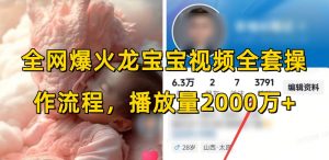 全网爆火龙宝宝视频全套操作流程，播放量2000万+| 鹿鸣网创