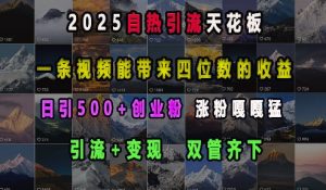 2025自热引流天花板，一条视频能带来四位数的收益，引流+变现双管齐下，日引500+创业粉，涨粉嘎嘎猛| 鹿鸣网创