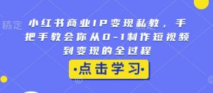小红书商业IP变现私教，手把手教会你从0-1制作短视频到变现的全过程| 鹿鸣网创