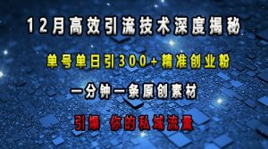 最新高效引流技术深度揭秘 ,单号单日引300+精准创业粉,一分钟一条原创素材,引爆你的私域流量| 鹿鸣网创